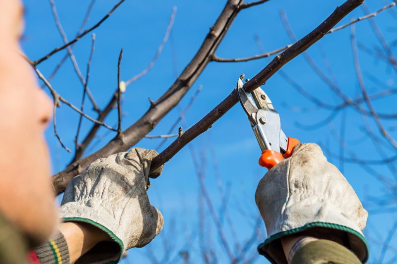 Pruning Tools in Use
