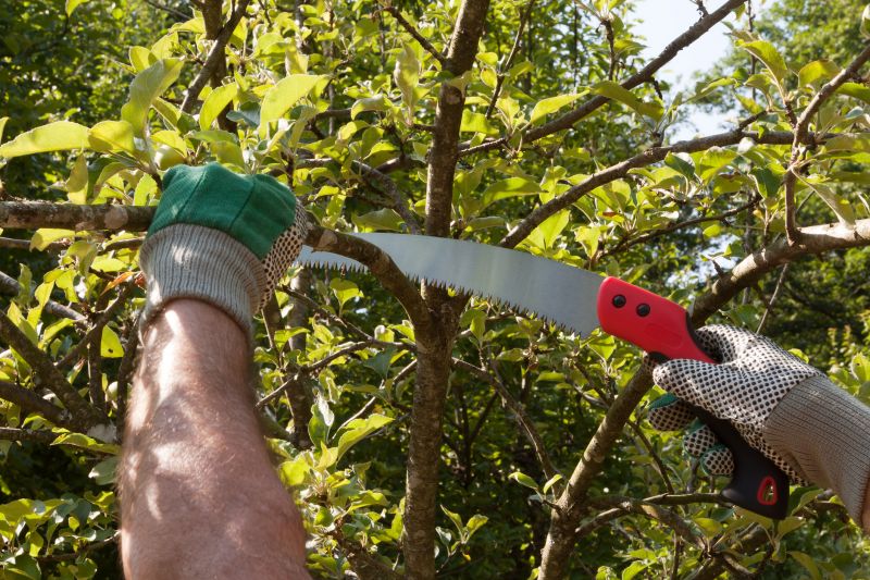 Products For Fruit Tree Prunings in use
