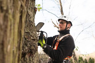 Arborist with Pruning Tools